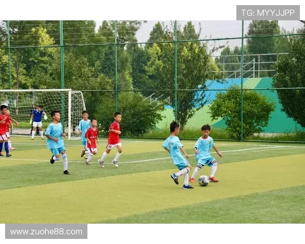 儿时足球明星回顾那些曾经闪耀绿茵场的童年偶像与他们的成长故事