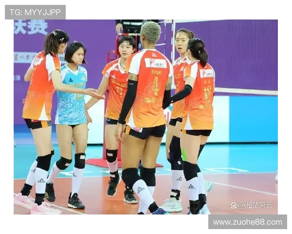 全国锦标赛分析：西安排球队配合默契展现实力与潜力