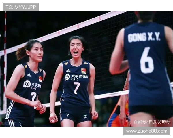 南京排球队与成都排球队赛后分析力量对比与战术总结