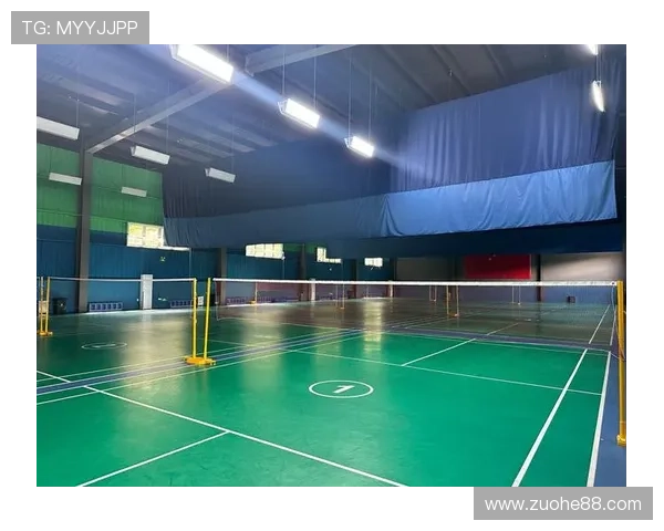 武汉羽毛球队的训练节奏与比赛策略深度解读及其对未来发展的影响分析