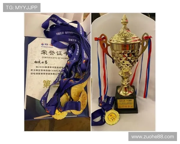 深圳羽毛球队与南京羽毛球队赛后复盘分析比赛经验与战术策略